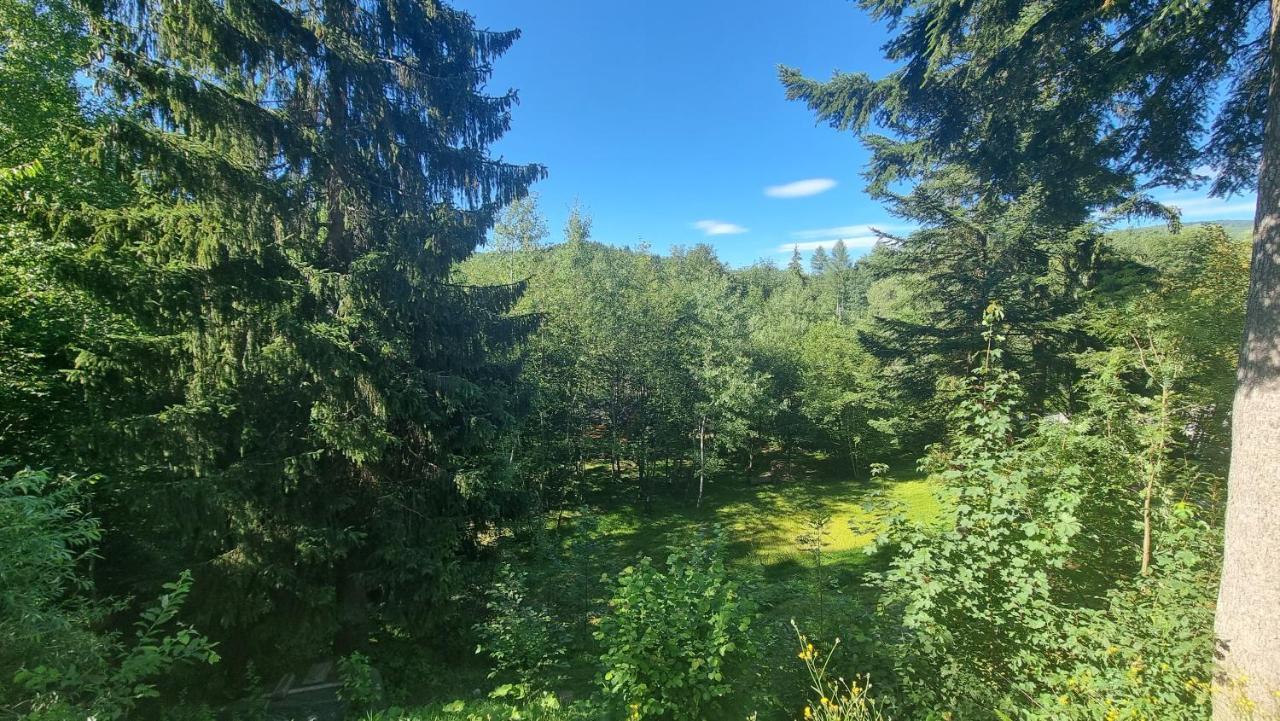 Rezydencja Barrettski Visla Exteriér fotografie