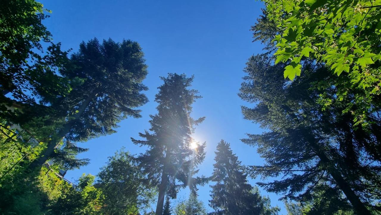 Rezydencja Barrettski Visla Exteriér fotografie